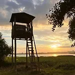 Casa Amarela - O Seu Oasis Na Floresta Praia de Mira