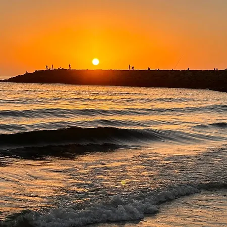 Casa Amarela - O Seu Oasis Na Floresta Praia de Mira