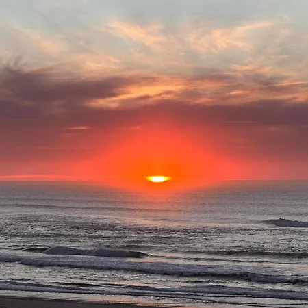 Casa Amarela - O Seu Oasis Na Floresta Willa