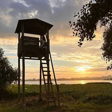 Casa Amarela - O Seu Oasis Na Floresta Praia de Mira