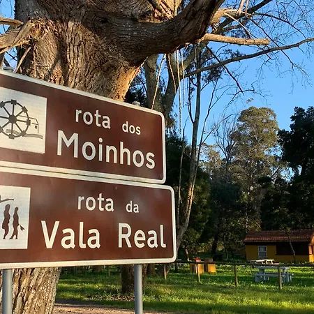 Casa Amarela - O Seu Oasis Na Floresta * Praia de Mira