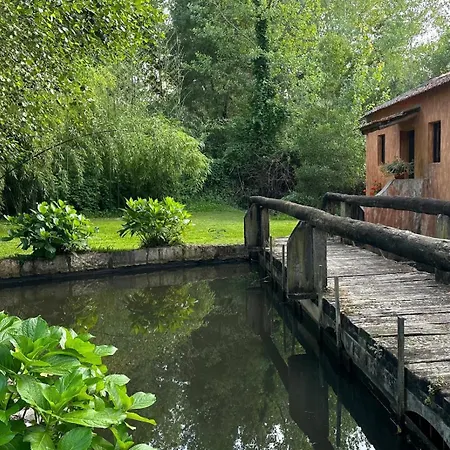 Casa Amarela - O Seu Oasis Na Floresta Willa *