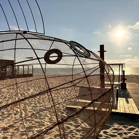 Casa Amarela - O Seu Oasis Na Floresta *