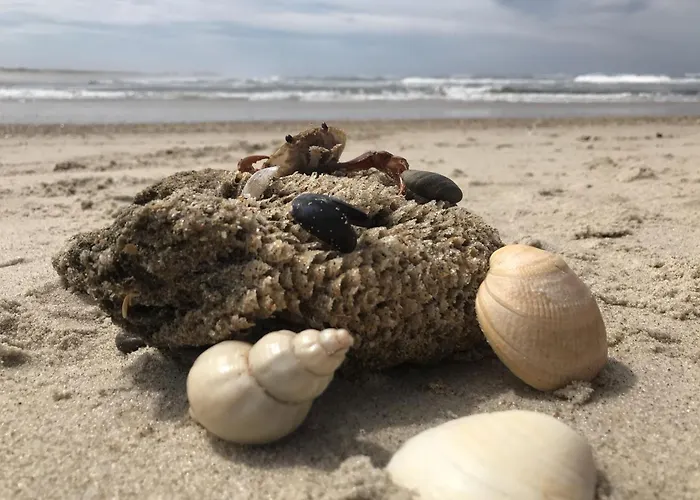 Casa Amarela - O Seu Oasis Na Floresta Βίλα *